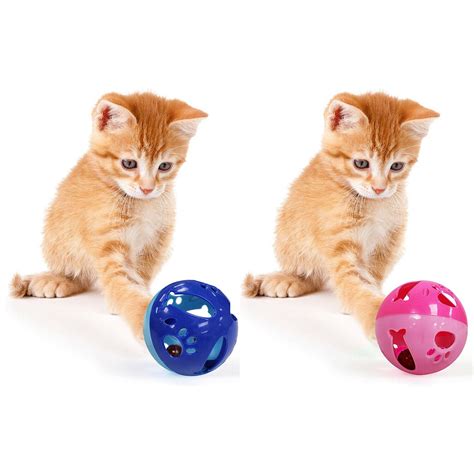 The Allure of the Magic Cat Ball